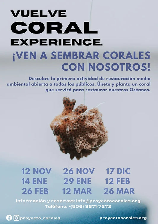 Nuevos Tours de Corales a la vista! %agua en lata% % %agua nea%