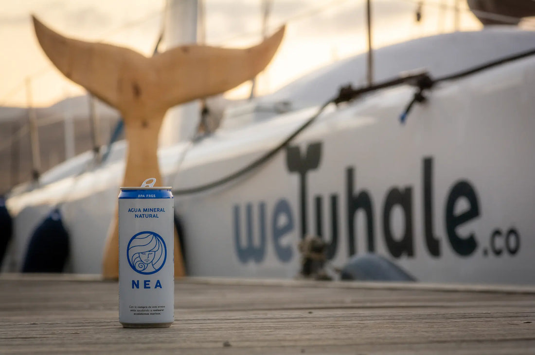 WeWhale-anuncia-a-Agua-Nea-como-partner-en-sus-barcos-de-observación-de-ballenas. %agua en lata% % %agua nea%