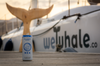 WeWhale anuncia a Agua Nea como partner en sus barcos de observación de ballenas.