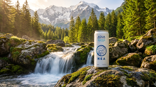 Lata NEA sobre roca con musgo en manantial alpino