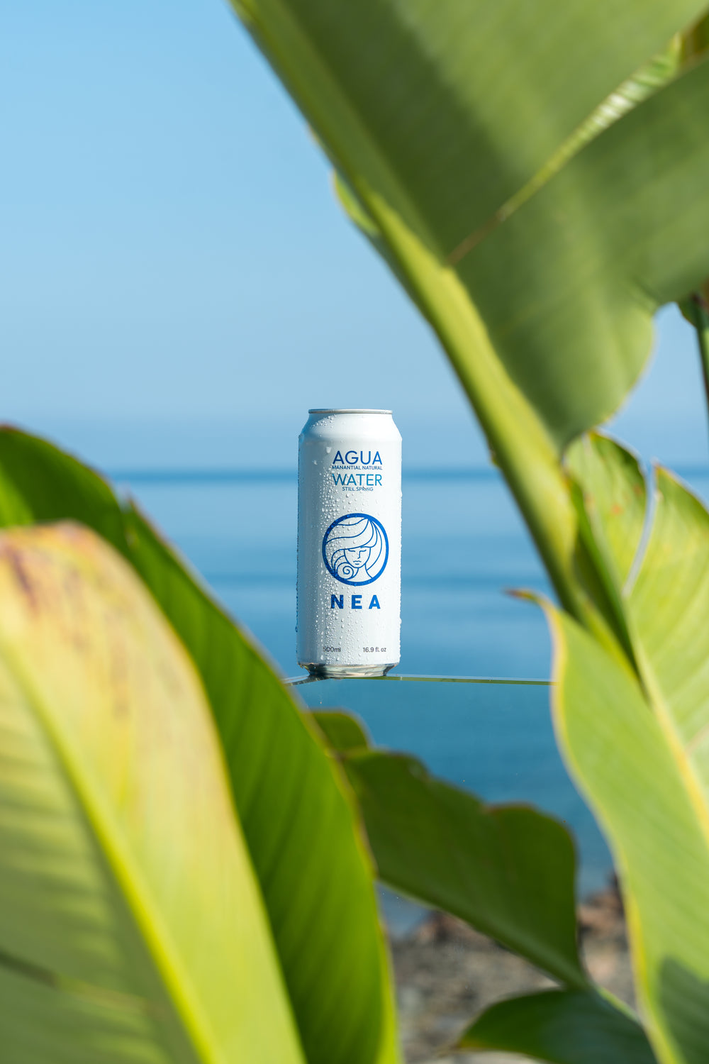 Lifestyle Agua NEA